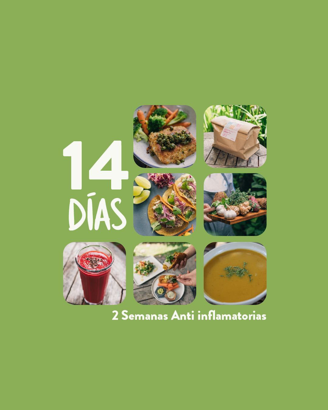 14 días – Anti-Inflamatorios (Early Bird)
